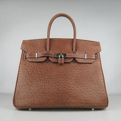 Hermes Birkin 35CM Ostrich Stripe Chocolate Silver